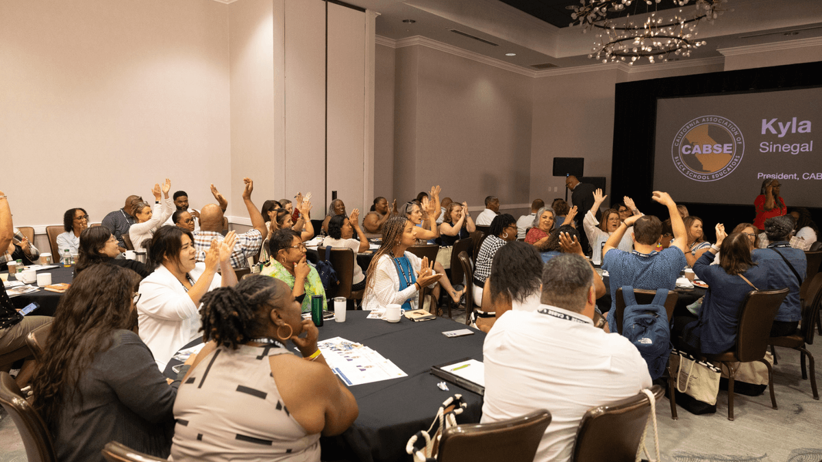 Countdown to the CABSE Summer Institute